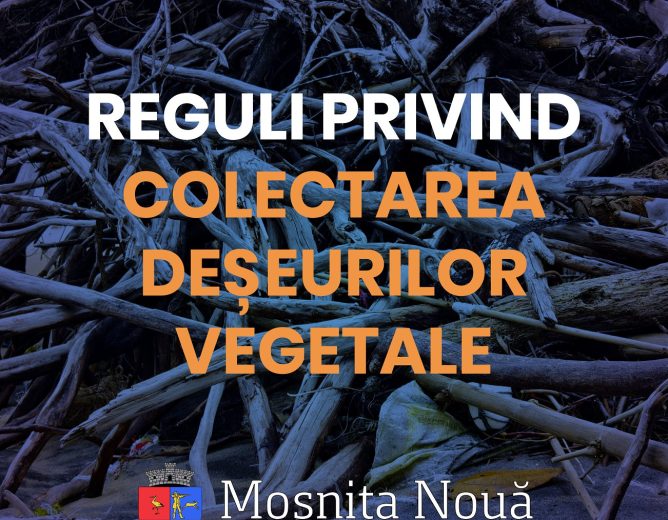 Anunț important privind ridicarea deșeurilor vegetale
